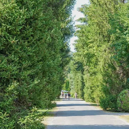 Pradelongue Kamp alanı 4*