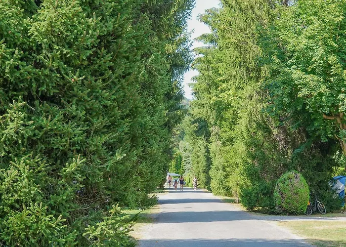 Pradelongue Campsite 4*